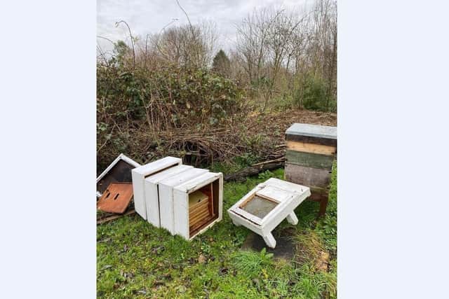 A beehive was vandalised at Railworld Wildlife Haven