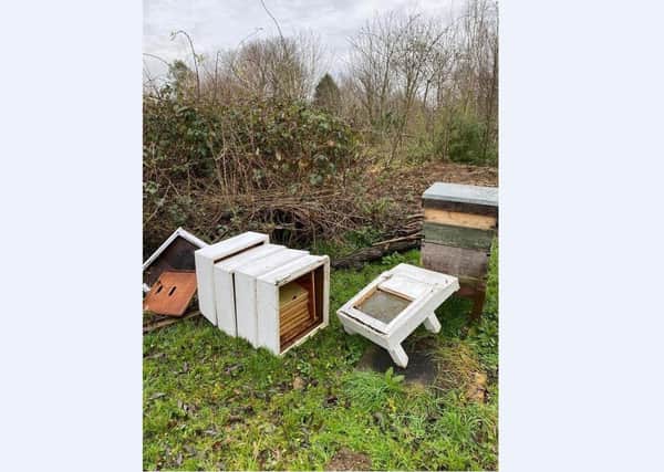 A beehive was vandalised at Railworld Wildlife Haven