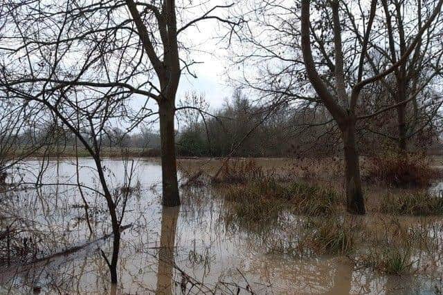 A number of areas of the park have been flooded. Pic: Nene Park Trust