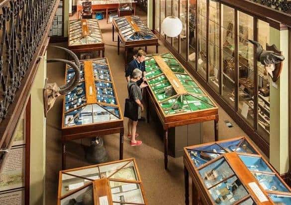 Wisbech and Fenland Museum