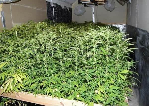 Cannabis found at a property in Peterborough by police last month.