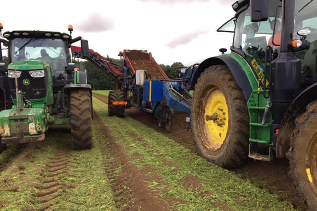 Bringing in the fresh vegetables at Burgess Farms.