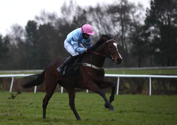 Eileendover with Paul O'Brien on board at Market Rasen. Photo: Getty Images.