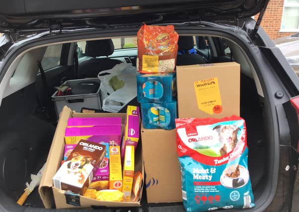A car loaded with donations for the Exotic Pet Refuge
