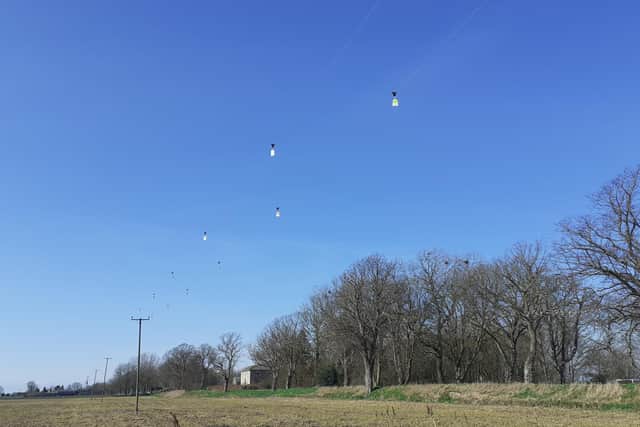 Newly installed bird diverters. EMN-211203-125649001