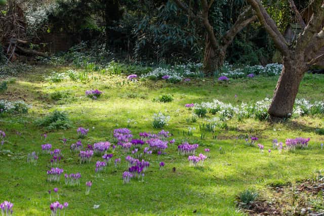 People in the Peterborough area are being encouraged to get involved in a new wildlife gardening scheme. Photo: Sarah Lambert