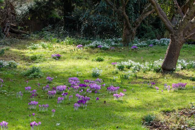 People in the Peterborough area are being encouraged to get involved in a new wildlife gardening scheme. Photo: Sarah Lambert