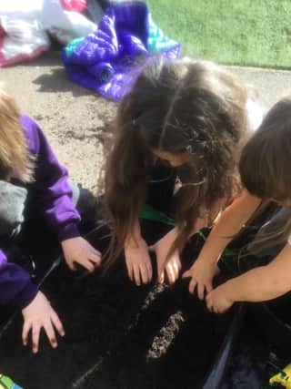 Newark Hill Primary taking part in the grow your own potatoes scheme