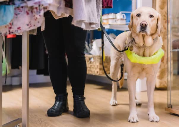 Queensgate charity partner  Guide Dogs UK