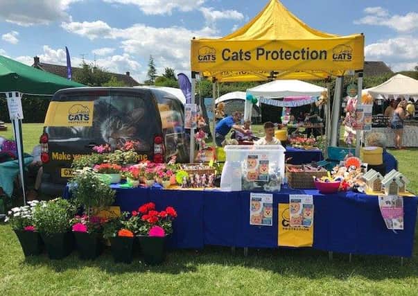 Could you volunteers for Cats Protection?
