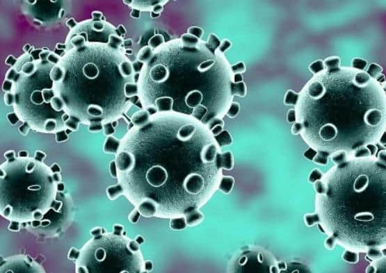 Coronavirus