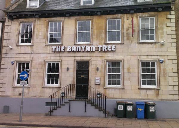 Banyan Tree in Westgate, Peterborough. EMN-161013-103539001