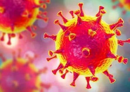 Coronavirus (covid-19)