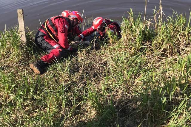 Crews were called several times to rescue the sheep
