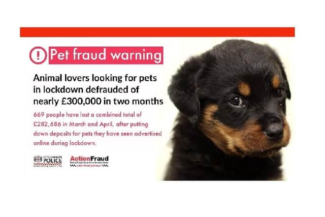 Police are warning about online puppy fraud
