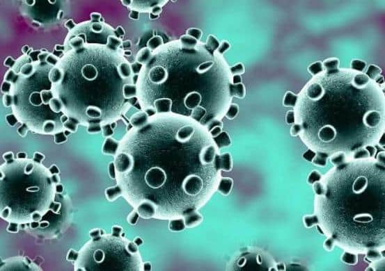 Here are the latest coronavirus figures for Peterborough