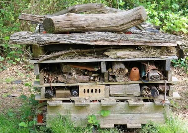 Build your own bug hotel