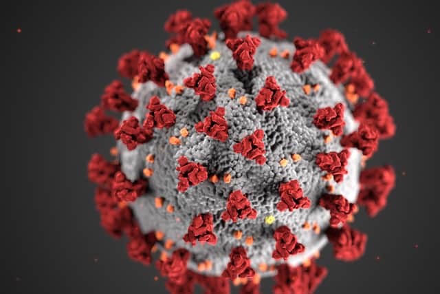 Coronavirus