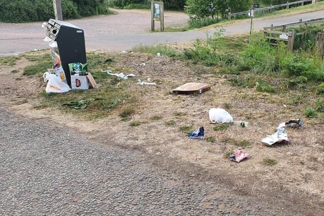 Some of the rubbish left at Ferry Meadows. Pic: @snufflemoo