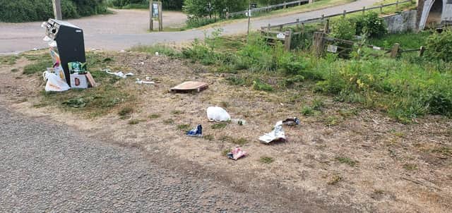 Some of the rubbish left at Ferry Meadows. Pic: @snufflemoo