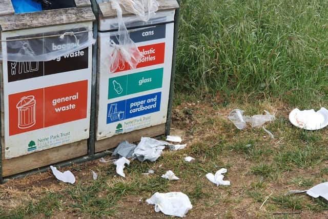 Some of the rubbish left at Ferry Meadows. Pic: @snufflemoo