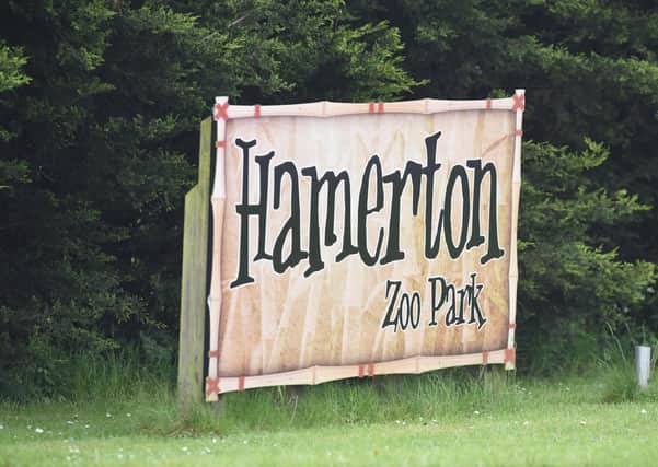 Hamerton Zoo park near Sawtry.