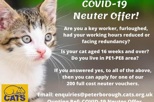 Cats Protection neutering offer