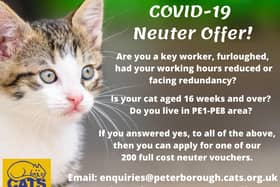Cats Protection neutering offer
