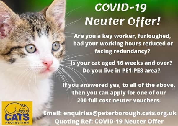 Cats Protection neutering offer