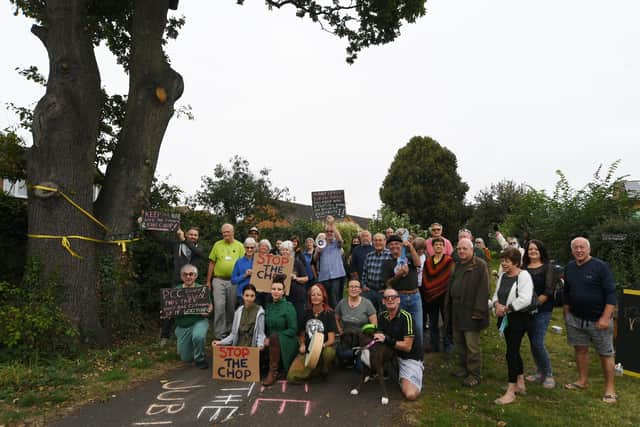 Protestors gather infront of the tree last month.