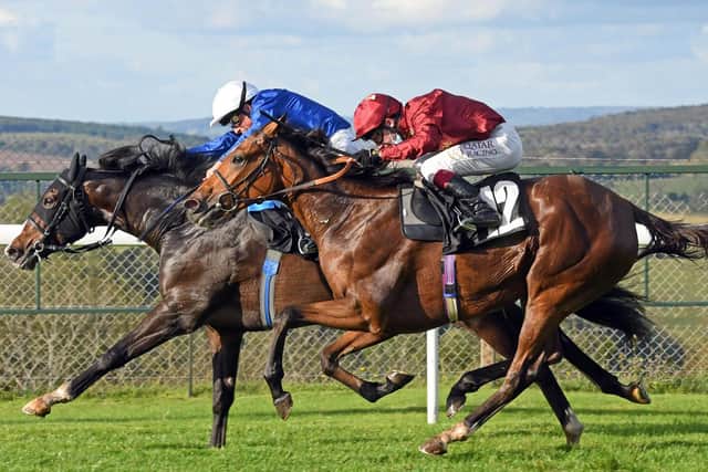 The anonymous good Samarittan won over £27,00 from a race meeting at Chelmsford. Photo: Malcolm Wells.