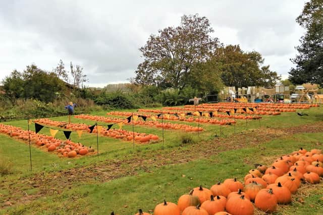 Scarewell is coming to Sacrewell