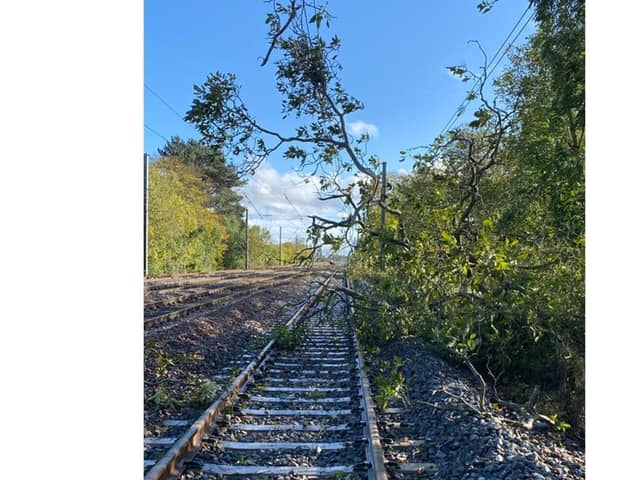 Fallen trees have caused damage to the line between Peterborough and London.
