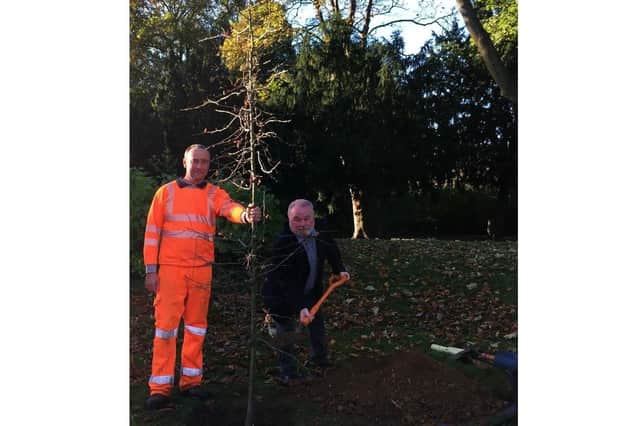 Councillor Wayne Fitzgerald, leader of Peterborough City Council planting a tree at Central Park with assistance from Aragon Direct Services.