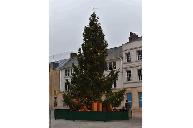The current Christmas Tree in Cathedral Square.