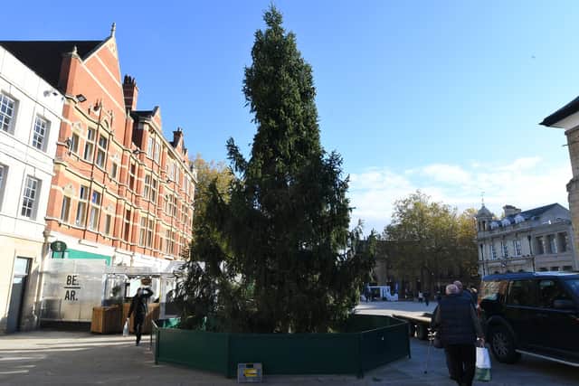 The Christmas tree at Cathedral Square when it was first erected.