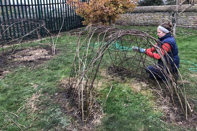 Creating the willow dens at Nassington Primary