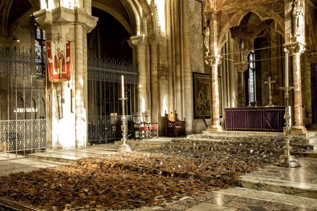 Leaves of the Trees by Peter Walker at Peterborough Cathedral.
Photo: Graham Williams
