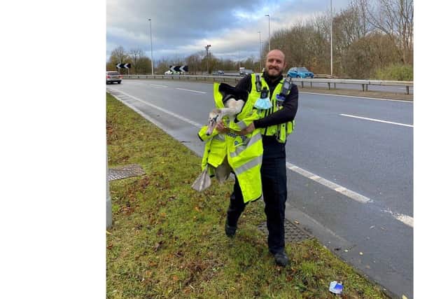Police rescued the swan earlier today (December 8).