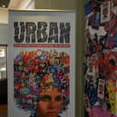 Urban Art Exhibition at Peterborough Museum EMN-211012-195740009
