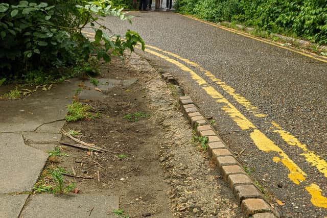 What the path used to look like