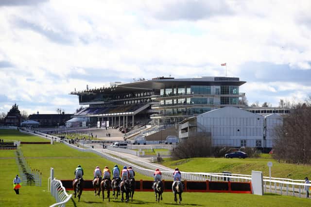 Racing at Cheltenham. Photo: Michael Steele, Getty Images