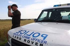 New legislation will help police officers deal with hare coursing gangs EMN-220401-161900001
