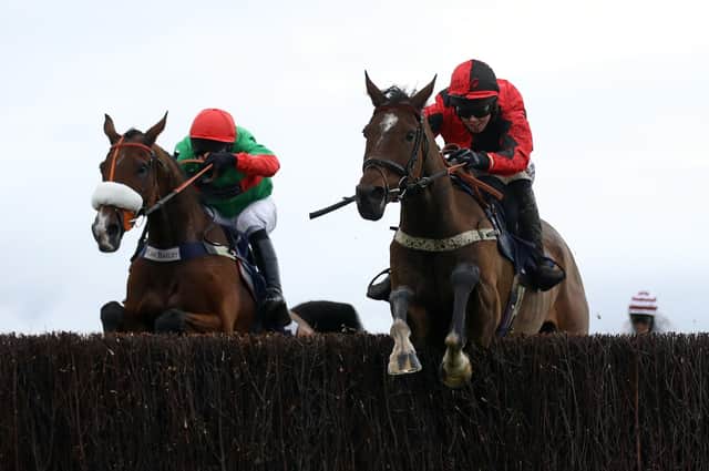 Horse racing action. Photo: Getty Images.
