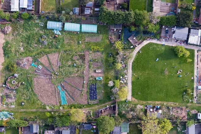 An aerial view of the Olive Branch Community Garden.