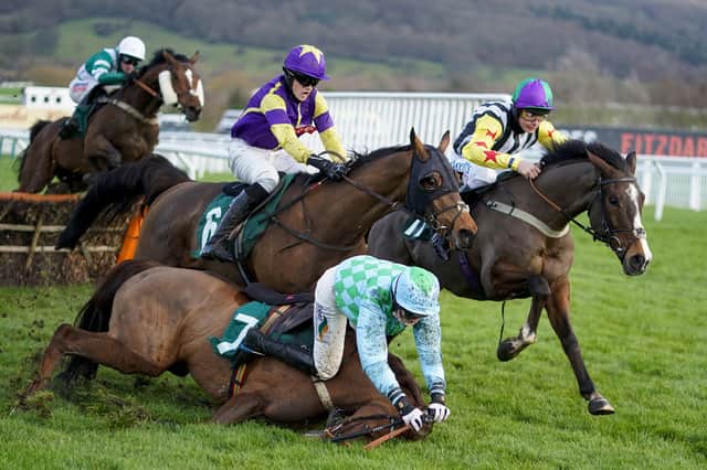 Horse racing action from Cheltenham. Photo: Alan Crowhurst/Getty Images