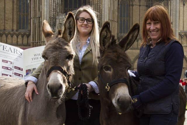 The Cathedral is looking for donkeys to take part in the Palm Sunday procession