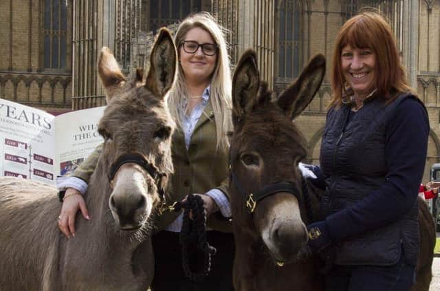 The Cathedral is looking for donkeys to take part in the Palm Sunday procession