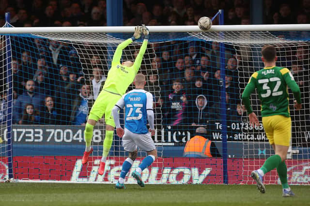 This Joe Ward shot hit the Preston North End crossbar, but it would have been ruled out for offside. Photo: Joe Dent/theposh.com.
