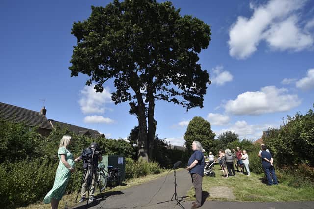 Protest to stop of the felling of an old oak tree at Ringwood, Bretton pictured in July last year as residents launched a petition.